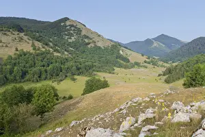 European Landscapes Nature Prints: Campolongo