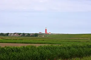 Texel Landscape Prints: De Cocksdorp Texel