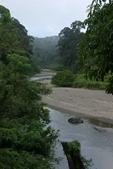 Images Dated 10th June 2025: Danum Valley River Print