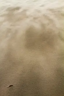 Stormy Beach Scene Prints: Drifting sand