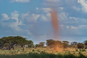 Outdoor Nature Scenes Prints: A dust tornado, also known as dust devil