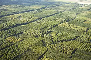 Netherlands Aerial Photography Prints: Flevopolder