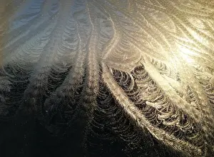 Frozen Winter Scene Prints: Frost on window