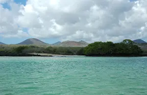 Galapagos Islands Prints: Galapagos