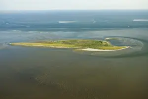 Wadden Sea Nature Reserve Prints: Griend