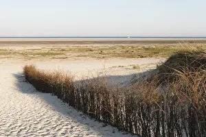 Dutch Coastal Landscape Prints: Helmgras, Marram Grass