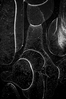 Black And White Winter Landscape Prints: Ice crystals