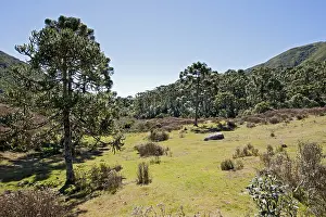 South America Landscape Prints: Itatia NP