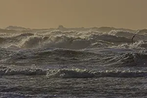 North Sea Coastal Landscape Prints: Kust, Coast