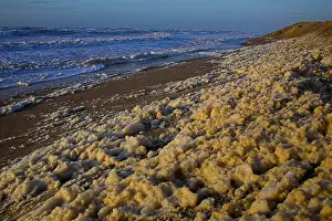 North Sea Waves Prints: Kust, Coast