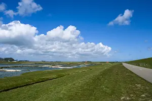 Texel Island Nature Reserve Prints: Landscape at Texel