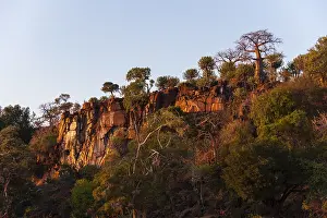 Low Angle Landscape Photography Prints: Low angle view of cliffs, lined with trees including baobabs