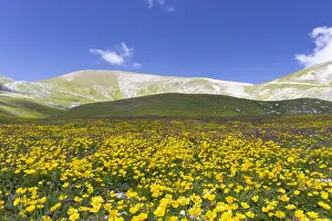 Mountain Landscape Photography Prints: Mountain Landscape