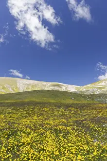 Italian Mountain Landscapes Prints: Mountain Landscape