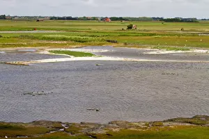 Texel Landscape Prints: De Putten, De Putten