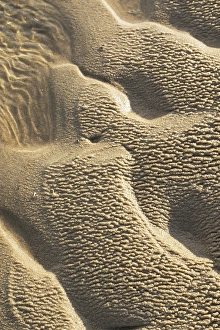 Wadden Sea Nature Reserve Prints: Sand pattern