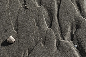 Texel Island Nature Reserve Prints: Sand pattern