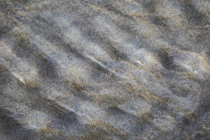 North Sea Sandy Shores Prints: Sand pattern