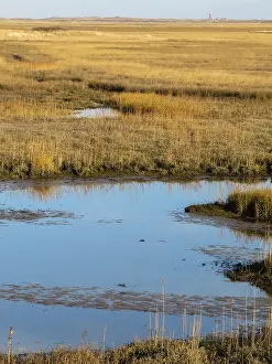 Texel Landscape Prints: The Slufter