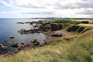 Scottish Landscape Prints: St Abbs Head