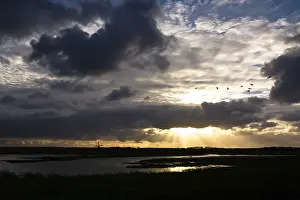 Texel Landscape Prints: Texel, Texel