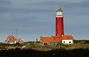 Texel Netherlands Prints: Texel, Texel