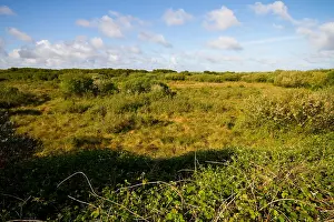 Texel Landscape Prints: Texel, Texel