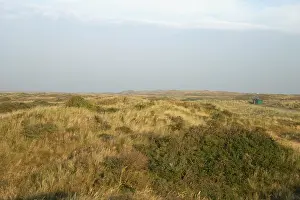 Texel Landscape Prints: Texel, Texel