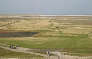 Texel Landscape Prints: Texel, Texel