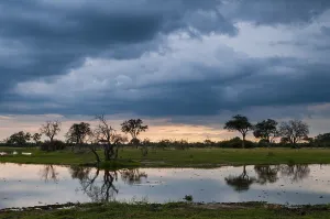Southern Africa Scenic Views Prints: A thunderstorm approaching the Okavango delta
