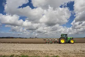 Holland Landscape Prints: Tractor at Texel