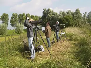 Bird Migration Prints: Vogelaar, Birdwatcher