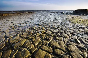 Low Tide Mudflats Europe Prints: Waddensea
