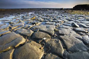 UNESCO World Heritage Site Wadden Sea Prints: Waddensea