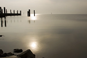 Waddenzee, Waddensea