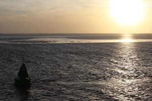 Waddenzee, Waddensea