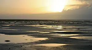 Netherlands Coast Prints: Waddenzee, Waddensea