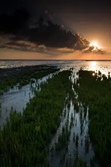Netherlands Landscape Prints: Waddenzee, Waddensea