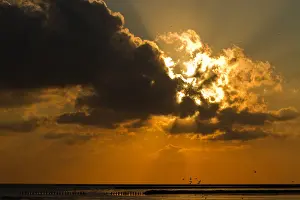 Images Dated 7th August 2011: Waddenzee Print - A Watercolor Painting of the Wadden Sea
