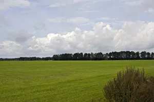 Images Dated 1st September 2007: Print of Meadow Weiland in the Achterhoek landscape