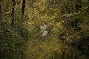 Weldammerbeek Print in Autumn
