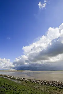 Dutch Coastline Scenery Prints: Westerschelde