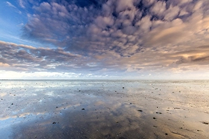 Low Tide Mudflats Europe Prints: the Wierumerwad