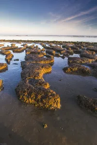 Low Tide Mudflats Europe Prints: Wierumerwad, Waddenzee