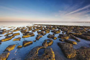 Wierumerwad, Waddenzee