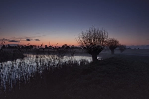Netherlands Nature Scene Prints: Willows at sunrise