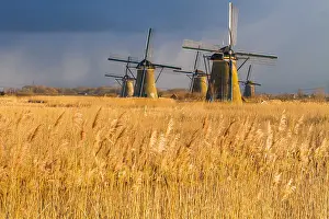 Netherlands Tourist Attraction Prints: Windmills at Kinderdijk