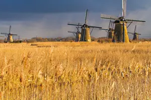 Netherlands Tourist Attraction Prints: Windmills at Kinderdijk