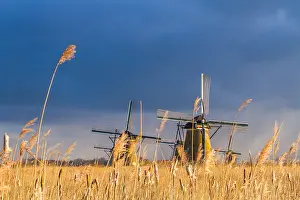 Holland Tourist Attraction Prints: Windmills at Kinderdijk