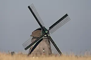 Windmill Netherlands Prints: Windmolen, Windmill